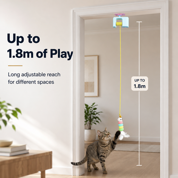 Automatic retractable cat toy detail
