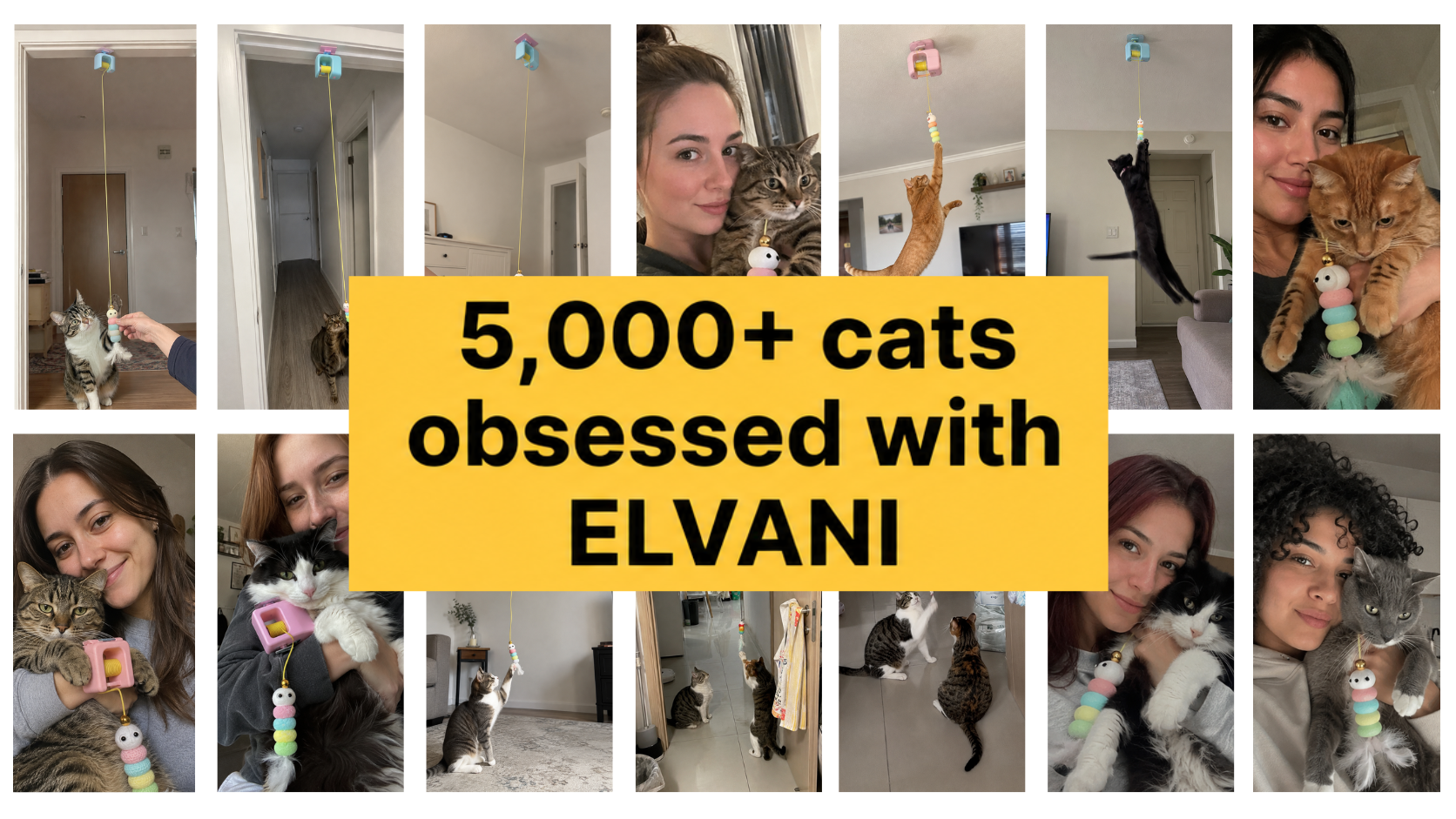 ELVANI automatic yo-yo cat toy lifestyle image